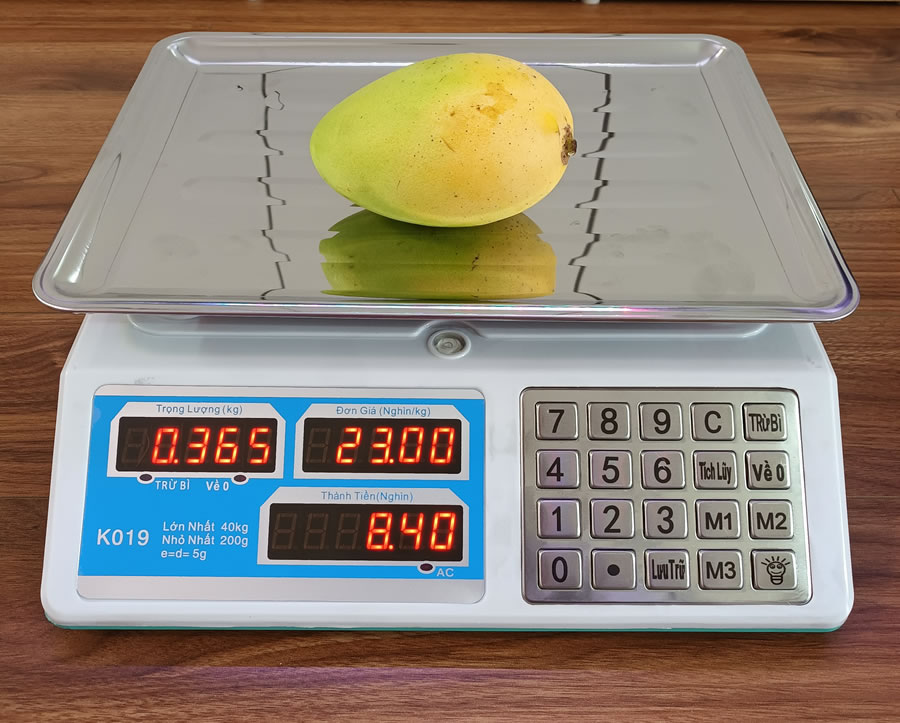 C&acirc;n điện tử Vinh Nghệ An